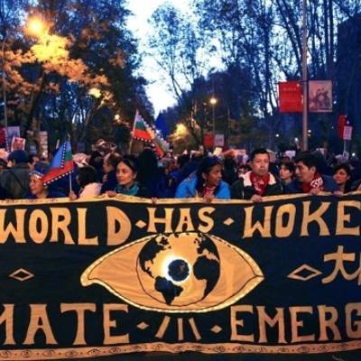К "Маршу за климат" примкнули более полумиллиона человек