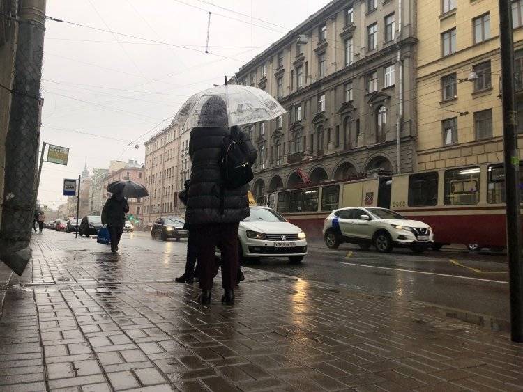 Синоптики обещают дождливые, но теплые выходные в Петербурге