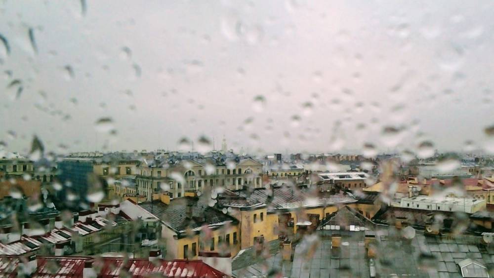 В Ленобласти 8 декабря пройдут дожди с мокрым снегом