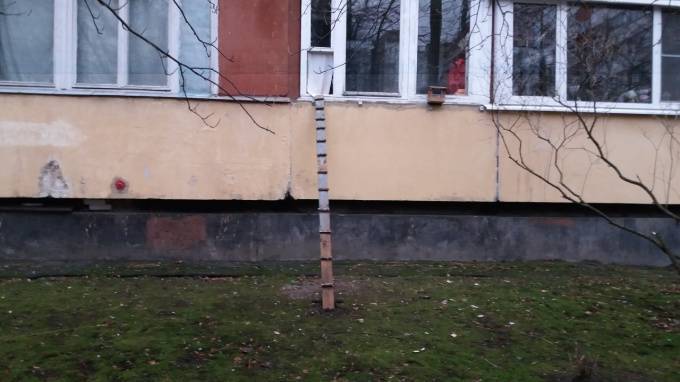 Фото: петербуржцы обустроили выход для кошки на улицу через окно
