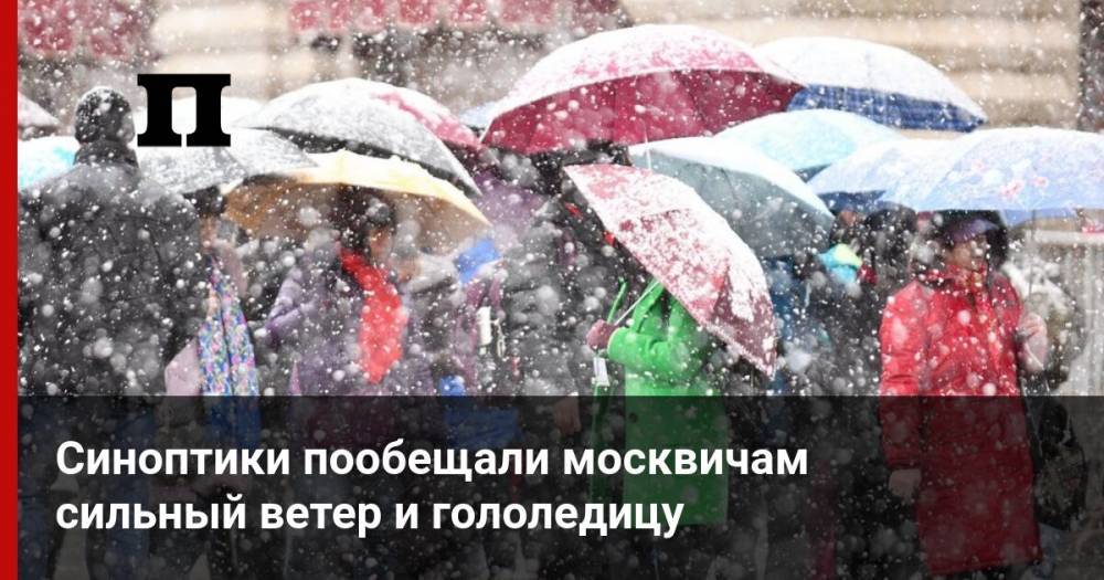 Синоптики пообещали москвичам сильный ветер и гололедицу