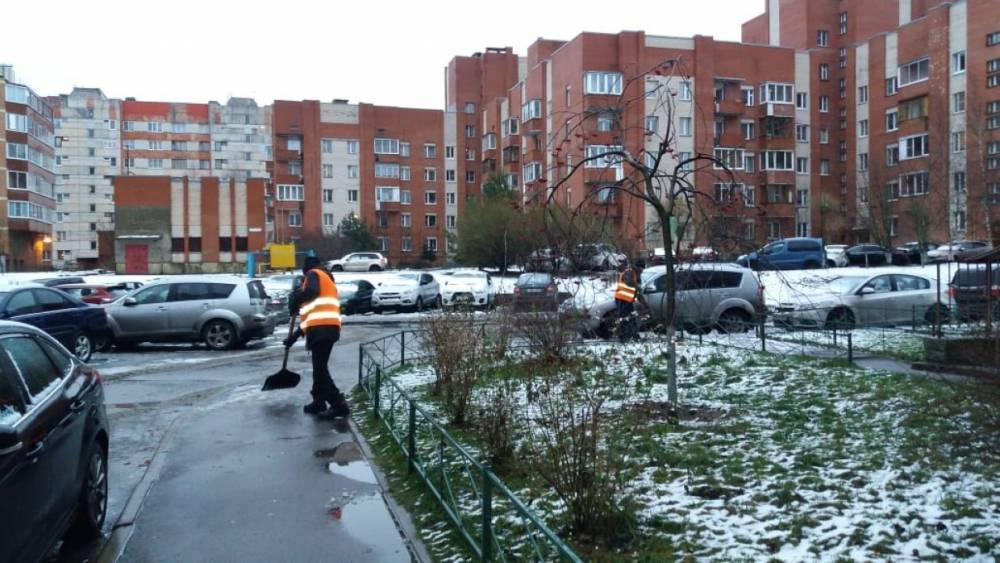 Коммунальные службы Петербурга работают на уборке снега с раннего утра