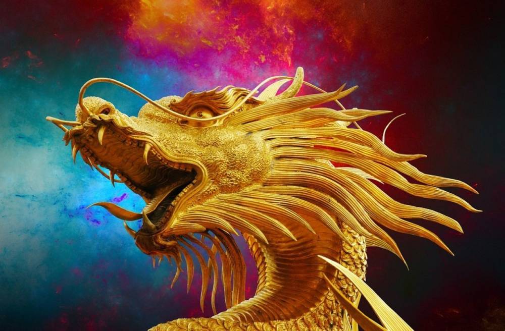 Писательница из Пскова выпустила роман о драконе и принцессе