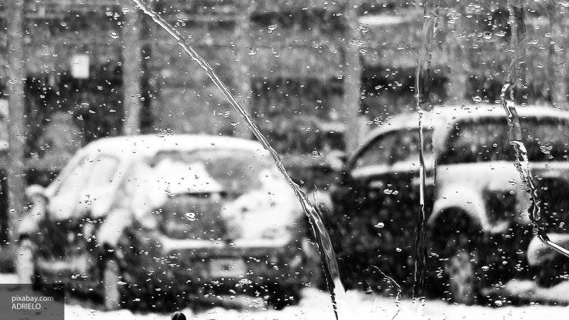 МЧС предупреждает петербуржцев о сильном ветре и снеге с дождем