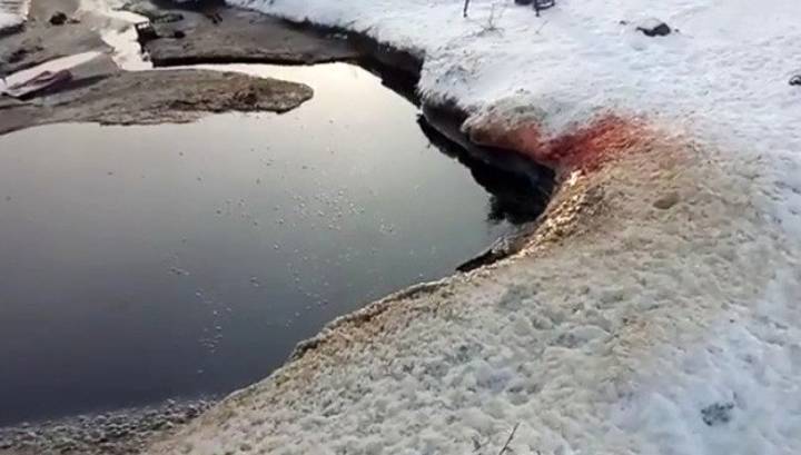Озеро крови под Омском: прокуратура и Россельхознадзор начали проверку