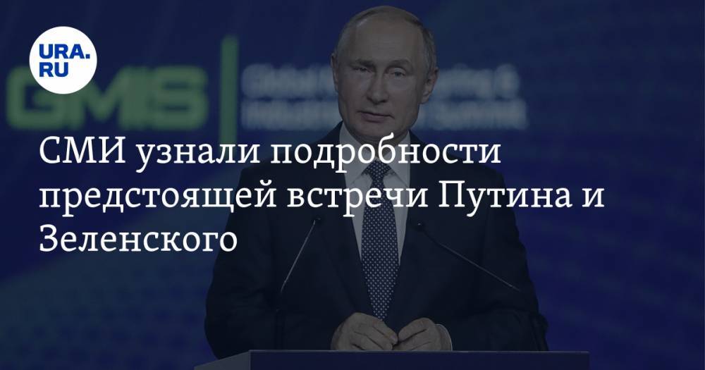 СМИ узнали подробности предстоящей встречи Путина и Зеленского