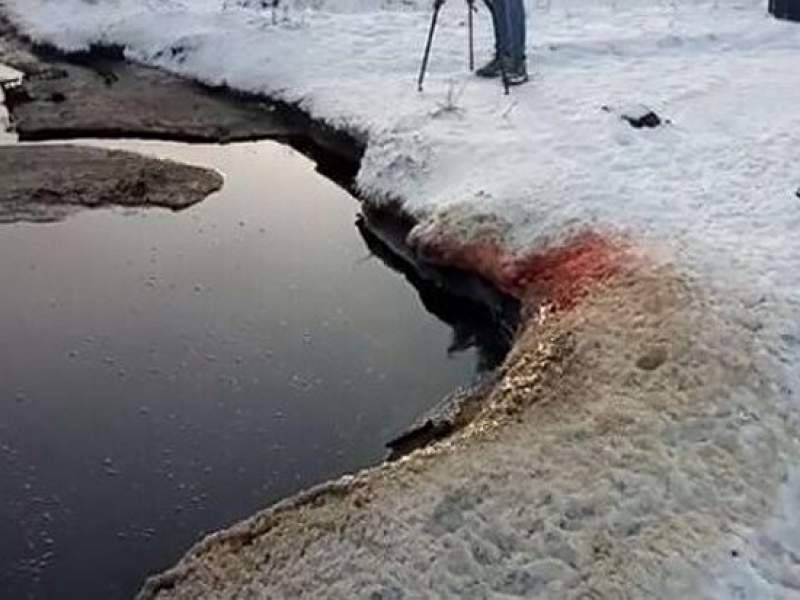В Омской области обнаружили озеро с кровью