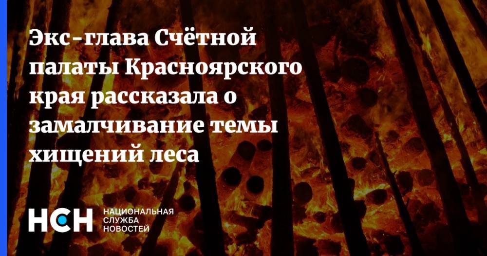 Экс-глава Счётной палаты Красноярского края рассказала о замалчивание темы хищений леса
