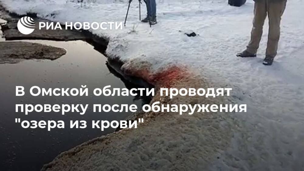 В Омской области проводят проверку после обнаружения "озера из крови"