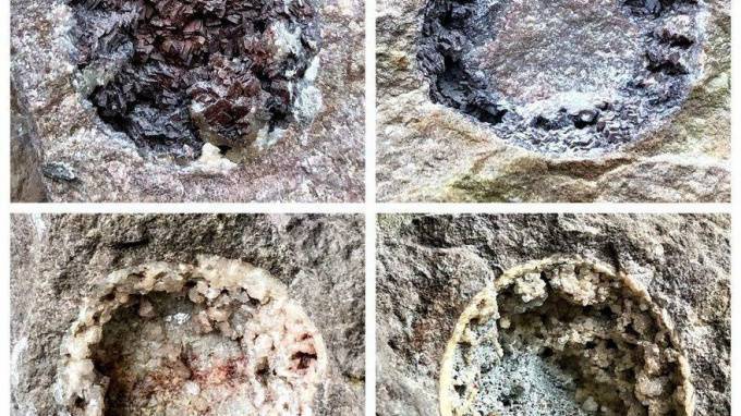 Палеонтологи показали, как выглядели древние обитатели Петербурга