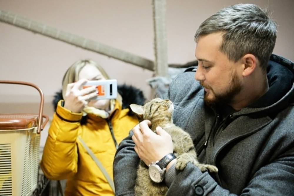 Саратовский дальнобойщик, спасший котенка на трассе, вернулся за ним на Урал