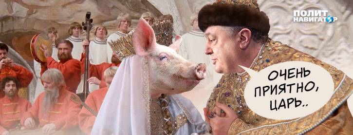 В Луцке полиция задержала свиней, встречавших Порошенко