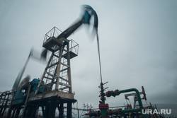 Добыча нефти и газа в России может упасть через шесть лет