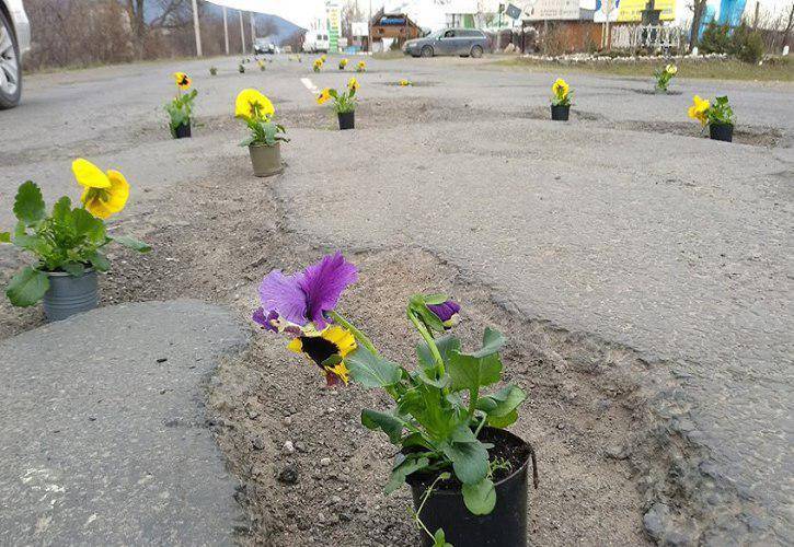 В Закарпатье разбитые дороги к приезду Порошенко украсили цветами в горшках