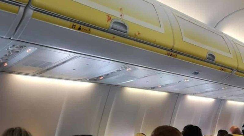 В самолете Ryanair развязалась драка, когда 2 пассажира поссорились из-за босоногой женщины