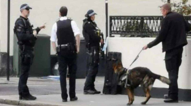 Вооруженные офицеры перекрыли район и ведут переговоры с мужчиной, угрожающим убийством жителям Аддискомбе в Лондоне