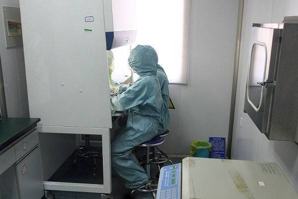 Китайские ученые выделили вирус африканской чумы свиней