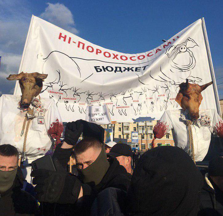 Драки, слезоточивый газ и дымовые шашки: визит Порошенко в Винницу обернулся  дракой «Нацкорпуса» с полицией