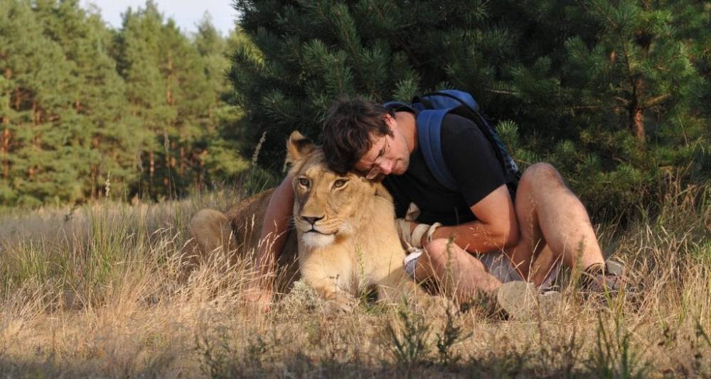 Хозяин двух львов из Чехии убит собственным питомцем