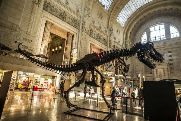 Британские ученые назвали настоящего «убийцу» динозавров