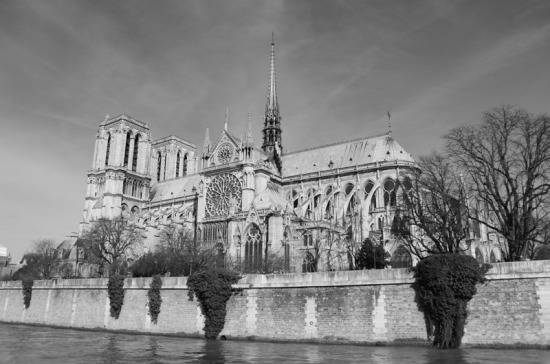 СМИ: здание собора Парижской Богоматери практически полностью уничтожено