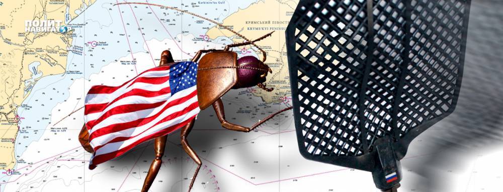 Военный эксперт сравнил боевой корабль США в Черном море с тараканом на столе