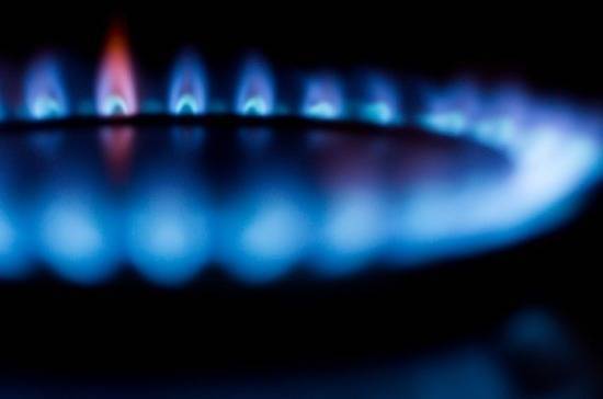 Сенатор предложил временно вернуть госрегулирование цен на бытовой газ