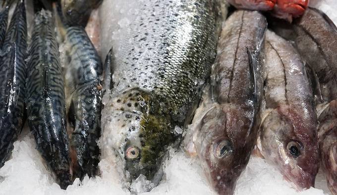 Почти 20 тысяч россиян в прошлом году заразились от рыбы