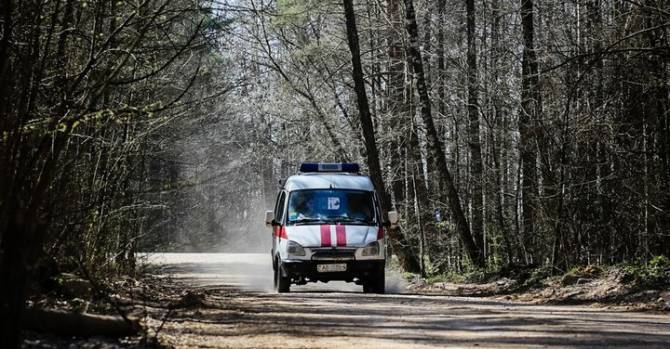 В лесу на Гродненщине нашли тело пропавшего председателя сельсовета