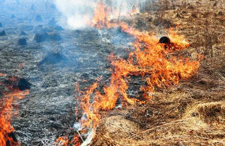 В Забайкалье из-за степных пожаров введен режим ЧС