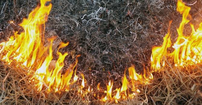 В Речицком районе в горящей траве погиб человек