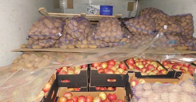 Прикрыли картошкой. Россельхознадзор сообщает о новой схеме незаконного ввоза яблок из Беларуси