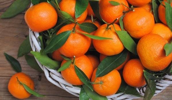 Гомельчанин наторговал в России "белорусскими" мандаринами на $ 4 млн