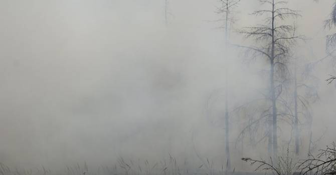 Спасатели за сутки потушили 93 пожара в лесу и на торфяниках, но ситуация серьезная
