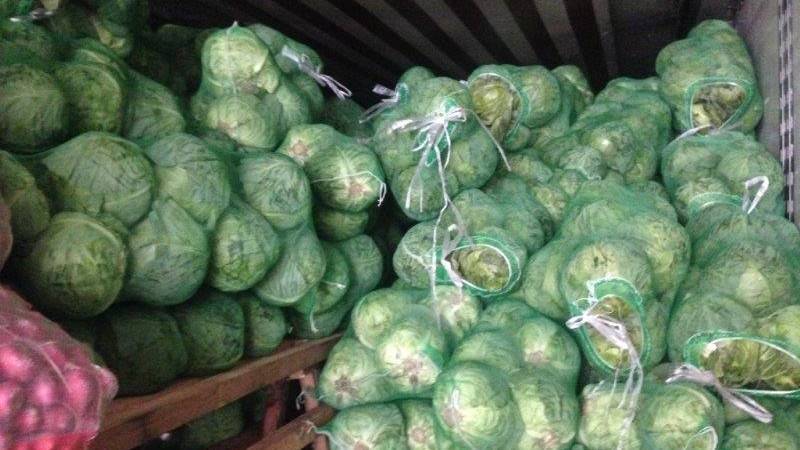 Неграмотность закрыла Питер для 20 тонн капусты из Узбекистана | Вести.UZ