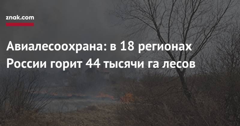Авиалесоохрана: в&nbsp;18 регионах России горит 44 тысячи га&nbsp;лесов