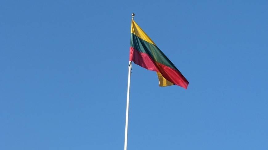 В Литве завершилось голосование на выборах президента
