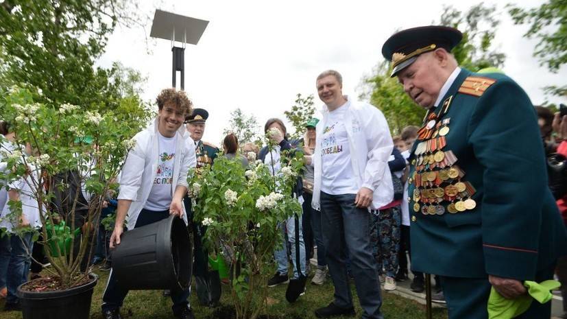 Акция «Лес Победы — 2019» состоялась в Подмосковье