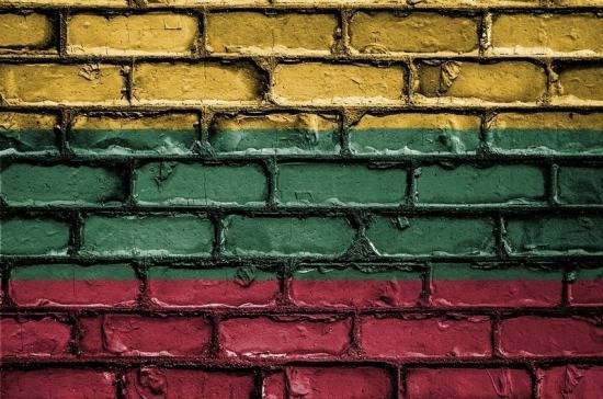 В Совфеде считают ужесточение санкций против России смыслом внешней политики Литвы