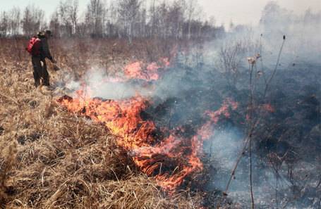 «Ситуация на самом деле очень тревожная»: в Иркутской области продолжаются лесные пожары