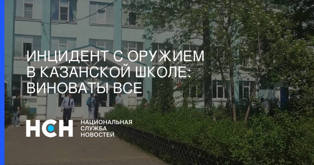 Инцидент с оружием в казанской школе: Виноваты все