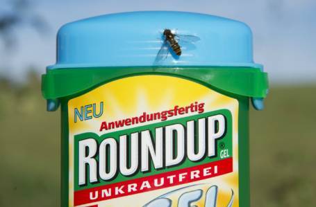 Опасный антисорняк: Bayer заплатит $2 млрд заболевшим раком из-за гербицида Roundup