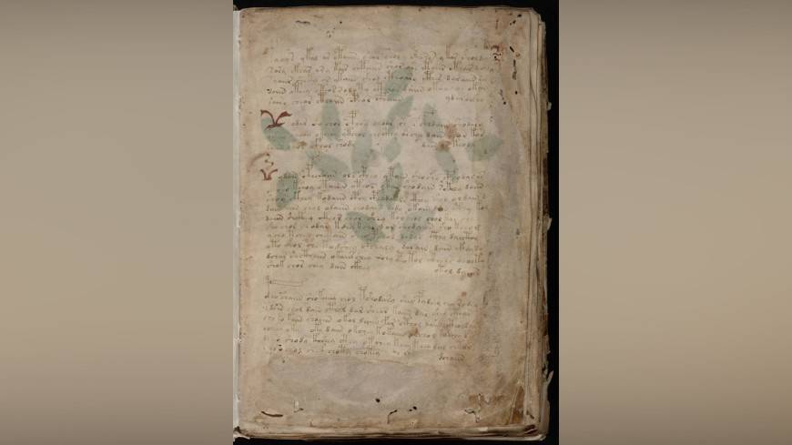 Рукопись на мертвом языке: раскрыт секрет манускрипта Войнича