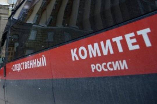 СК проводит проверку по факту драки в детском саду Красноярска