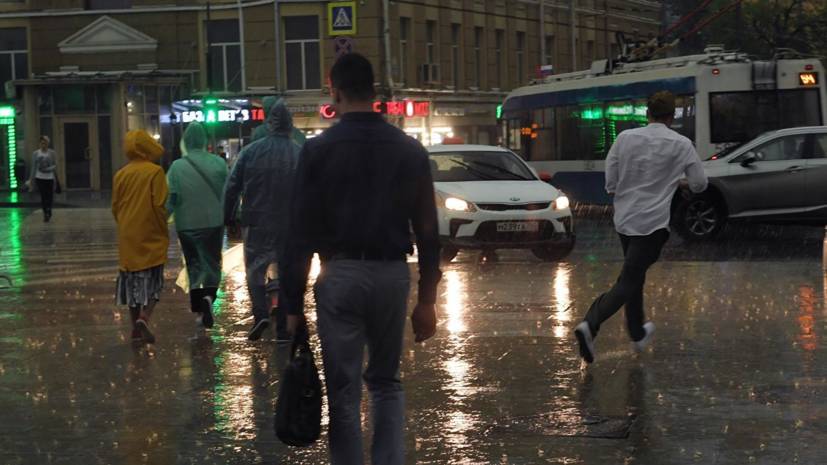 МЧС предупредило о дожде с грозой и ветром в ближайшие часы в Москве