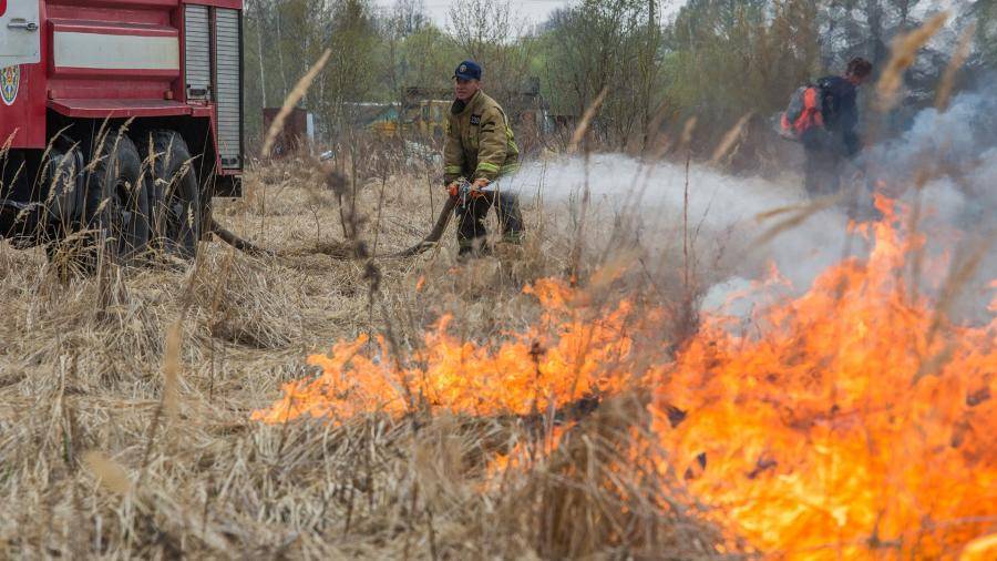В Гидрометцентре спрогнозировали прекращение лесных пожаров из-за дождей