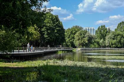 Самым дешевым в России оказалось благоустройство парков