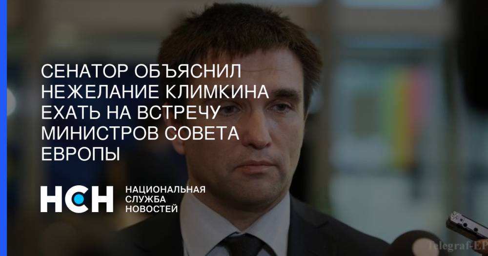 Сенатор объяснил нежелание Климкина ехать на встречу министров Совета Европы