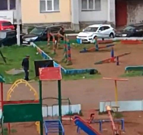 В Башкирии неадекватный мужчина разгромил детскую площадку (ВИДЕО)