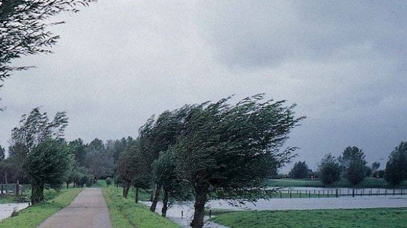 Метеорологи Башкирии предупредили о сильном ветре